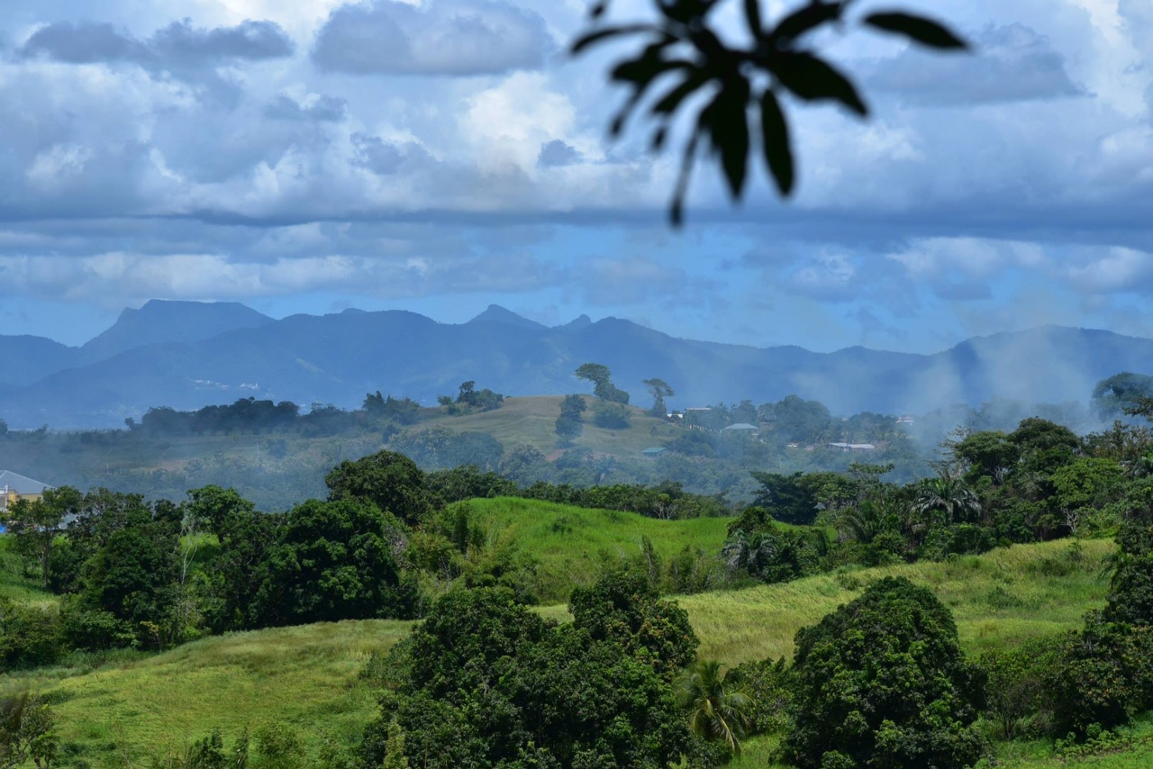 View from the Garden